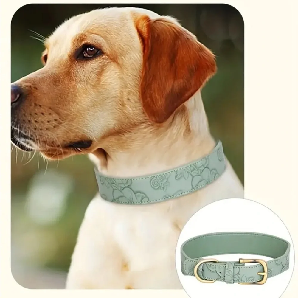 Elegant Teal Green Dog Collar